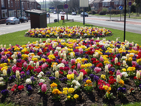 Ferryhill in Bloom was one of a number of projects recognised in the Northumbria in Bloom contest, picking up a Silver Award.  
