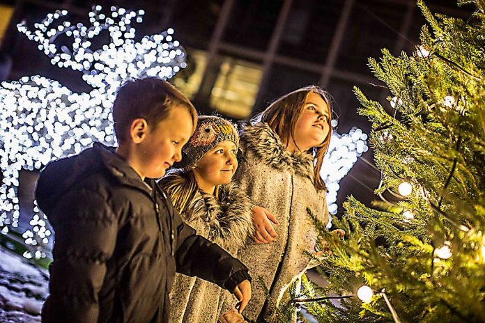 After helping switch them on in his memory, Bradley Lowery's cousins marvel at Durham's Christmas lights Bradley Lowery's cousins switch on Durham's Christmas lights