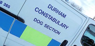 Police urge public to take care when buying a dog Durham Constabulary Dog Section