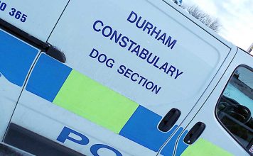 Police urge public to take care when buying a dog Durham Constabulary Dog Section