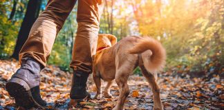 Fuelling your Wanderlust in Bishop Auckland walking outdoors muddy boots-dog