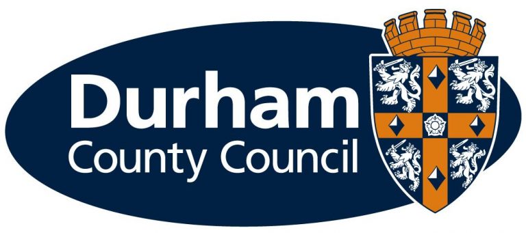 Council audit committee seeking new member Council audit committee seeking new member