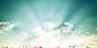 Pinteresting Easter activities Easter activities eggs sunshine