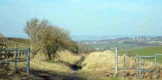 Hidden Shildon: a short and easy walk Hidden Shildon - Eldon Bank Top provides stunning views across to Bishop Auckland.