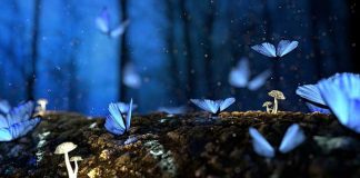 What happened to Imagination? Steven Horley Blogs