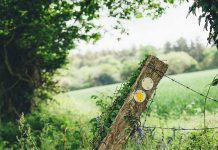 30 Days Wild Challenge Jess Wilson Blogs