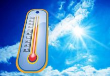 The Ultimate Guide to Beating the Heat Hannah Lindsay Blogs