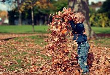 Autumn’s Fire is Burning Hannah Lindsay Blogs