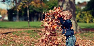 Autumn’s Fire is Burning Hannah Lindsay Blogs