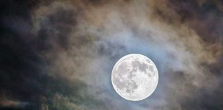 Halloween Movie Fest Steven Thorley Blogs