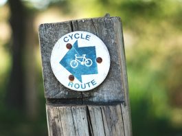 Steven Thorley Blogs