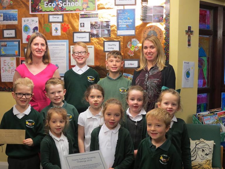 St Charles pupils stand tallest in growing challenge St Charles pupils stand tallest in growing challenge