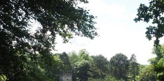 New festival to celebrate town’s rich heritage