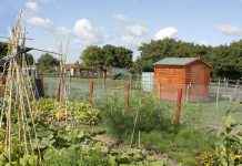 Chilton Town Council cancels allotment rent notices Chilton Town Council cancels allotments rents for 2020-21