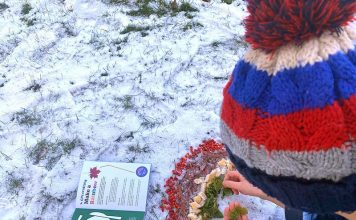 YHA offers half-term help with free kids’ Activity Pack YHA free kids Activity Pack