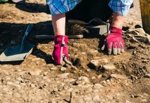 Bishop Big Dig to uncover Bishop Auckland’s hidden history Archaeologists hope to engage the community in digging hundreds of test-pits across the town.