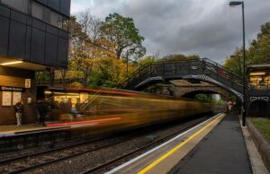 Meet the Winner, Gwion Clark, A Colourful Autumnal Scene at South Gosforth.