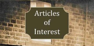 Articles of Interest published