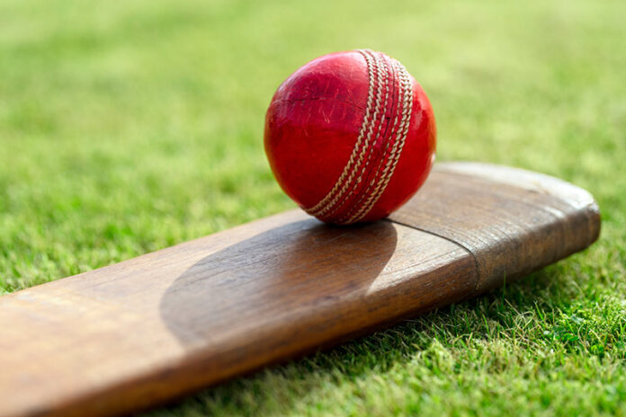 cricket-optimized
