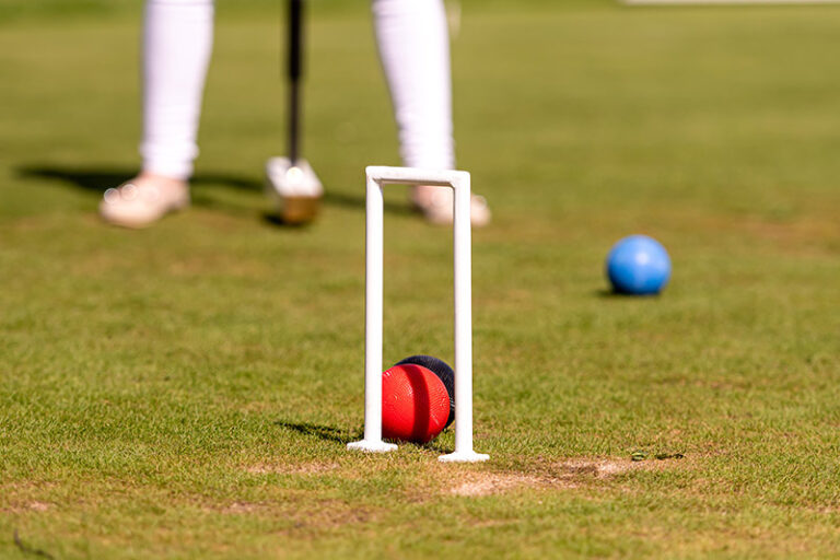 Chilton Croquet update