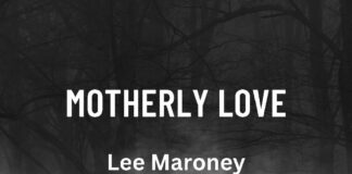 Bishop author publishes third novel