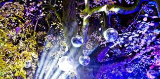New light trail set to Dazzle Bishop Auckland this Christmas