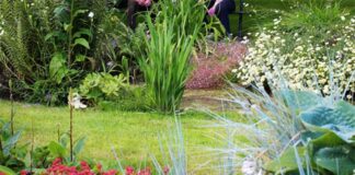 Blooming marvellous garden opening