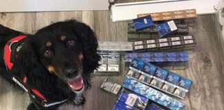 Illicit smoking products seized