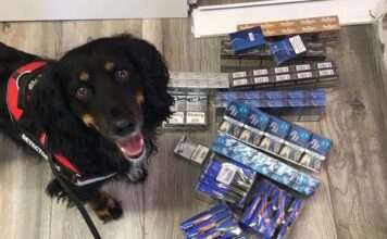 Illicit smoking products seized