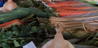 Successful Horticultural Show