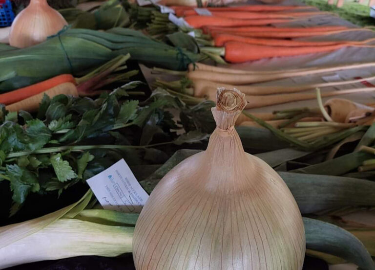 Successful Horticultural Show Successful Horticultural Show