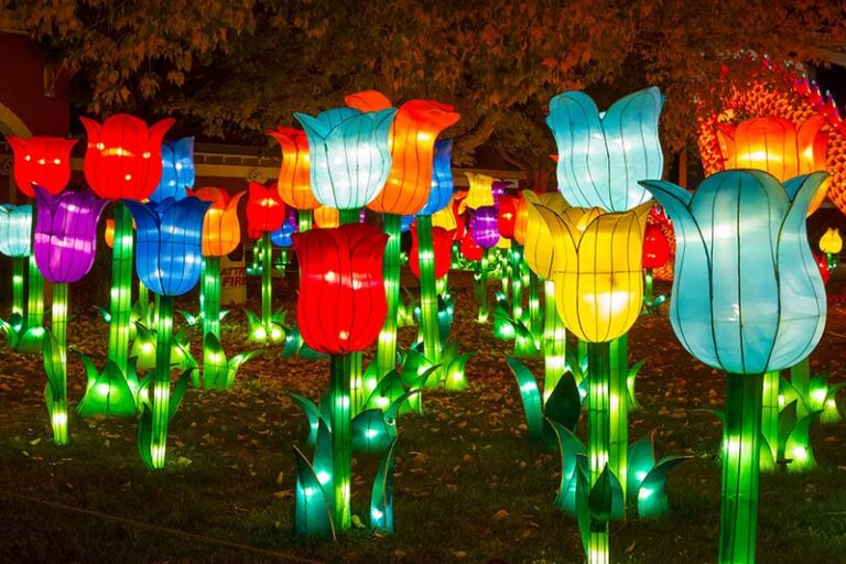 Students to see The Auckland Project in a whole new light