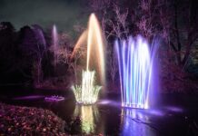 Bishop AGLOW for Christmas