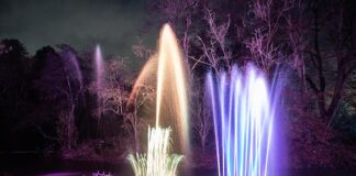 Bishop AGLOW for Christmas