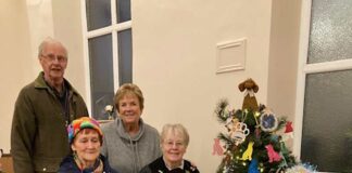 A Festival of Christmas Trees