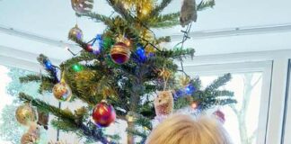 A Christmas message from Rev’d Carol Harris