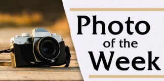 SWDN Photo of the Year – The Finalists
