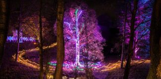 AGLOW dazzles over 30,000 visitors
