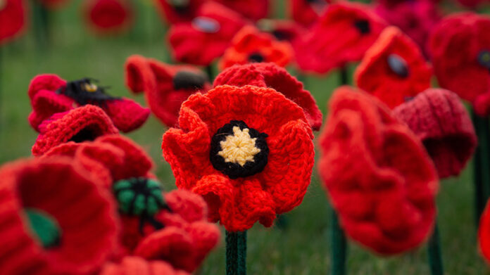 knitted-poppies-optimized