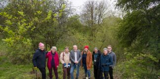 Durham Woodland Revival project connects forests and communities