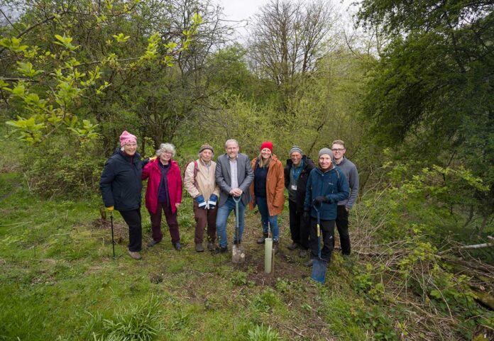 durham-woodland-revival