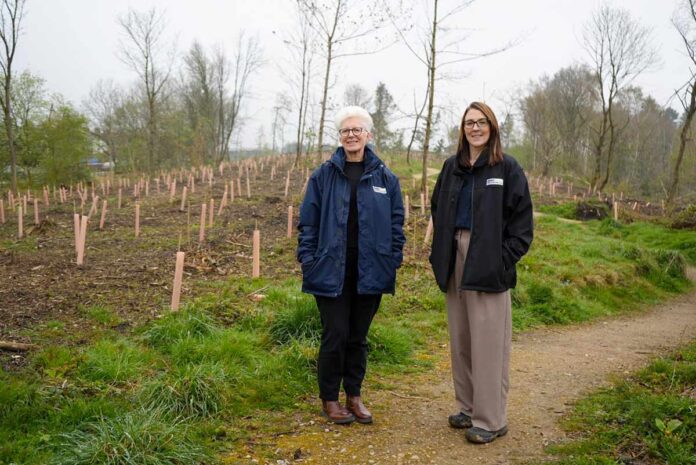 oakenshaw-tree-planting