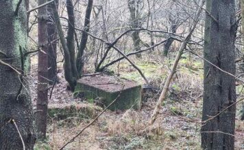 Tales from the Trowel – Hidden Histories