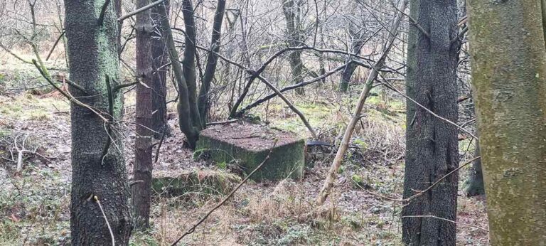 Tales from the Trowel – Hidden Histories
