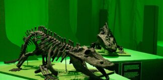 Prehistoric monsters in Town Hall
