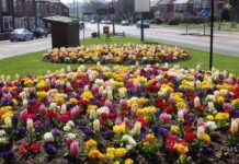 Ferryhill Town Council invites residents to take part in Annual Ferryhill in Bloom competition