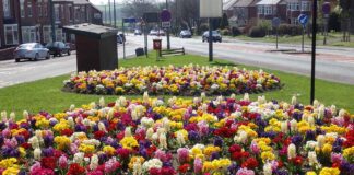 Ferryhill Town Council invites residents to take part in Annual Ferryhill in Bloom competition