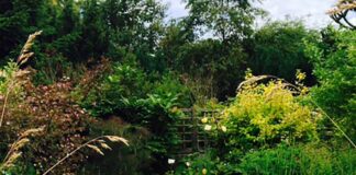 Marie Curie Garden Opening