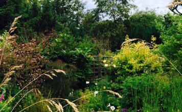 Marie Curie Garden Opening