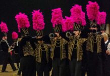 Citrines to host annual carnival in Hackworth Park